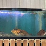 はまさき村 湘南本店 - 