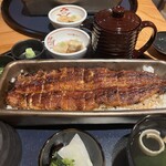 うなぎ四代目菊川 なんばセントラルイータリー店 - 