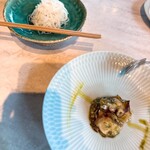 CINA New Modern Chinese - 