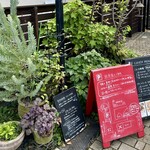 いしころカフェ - ナチュラルな植栽も素敵です