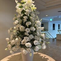 真南風 - ナハテラスといえば このトルコ桔梗の花です！