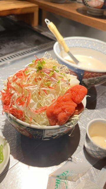 もんじゃ焼き 鉄板焼バル もじお 裏難波店のご予約 - 近鉄日本橋