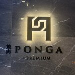 PONGA PREMIUM - 