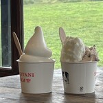 アルトピアーノ - 