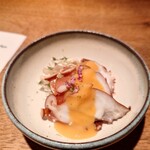 キタのみかん - 