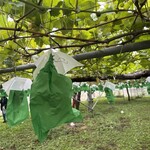 信州フルーツランド 信州中野インター店 - 