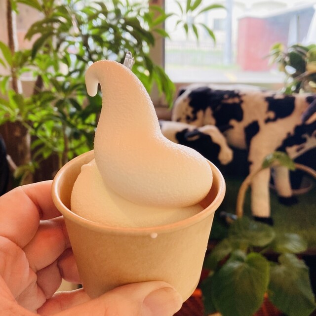 GOOD WAVE - 南小樽（ソフトクリーム）の写真