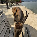 あなごめしうえの 宮島口本店 - 