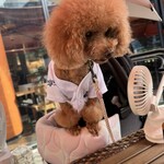 クッチーナ デル カンポ - とシェリ