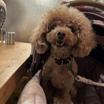 大衆食堂みゆき - 笑ってる？ｗ