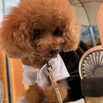 クッチーナ デル カンポ - とシェリ