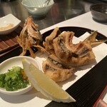 マジュン・リッカ - 