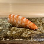 鮨 むらやま - 車海老