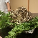 よし町 - BIG舞茸‼️‼️‼️‼️‼️