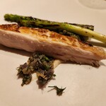 cenci - 京赤地鶏