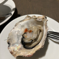 COLONIAL BEACH 横浜ハンマーヘッド - 