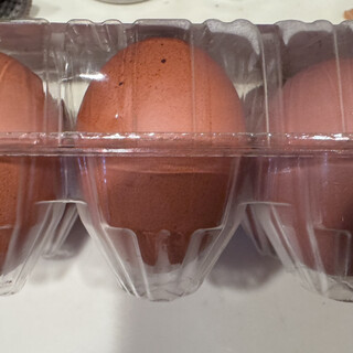 水野谷鶏卵店_2