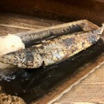 福福 やきとり店 - 秋刀魚¥500- ラウンドなのでハラワタも楽しめます