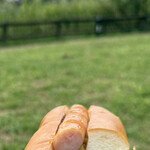 コメダ珈琲店 - 料理写真:・ホットドック