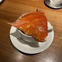 Duesta - 