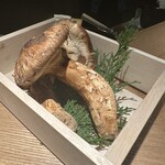 炭割烹 新谷 - 松茸！