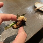 ぎんぎょ伍式 - 