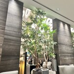 カフェ＆ダイニング ゼルコヴァ - 