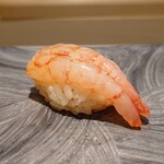 島津 - 北海道の縞海老