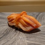 島津 - 閖上の赤貝