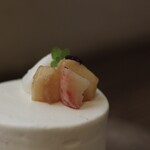 ザッカカフェルポ - 