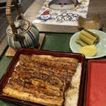 うなぎ専門店 本多 - 