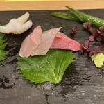 菊水鮓 - 天然カンパチ