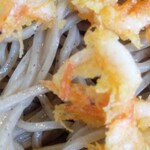 鐘庵 - 桜えび姿揚げ