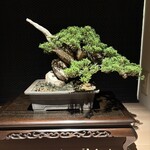 かにじぇんぬ　麻布 - 