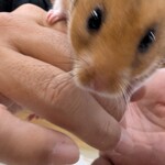 ROCK STAR なんばパークス前店 - 