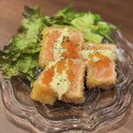 ネオ大衆酒場 サーモンライク　 姫路駅前店 - サーモンかつ