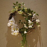 うなぎ四代目菊川 クロスゲート金沢店 - 