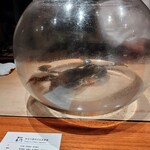 日本料理 別府 廣門 - 