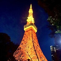 ワカヌイ グリル ダイニング バー 東京 - 