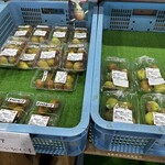 道の駅 潮見坂 - 