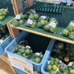 道の駅 潮見坂 - 