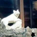 拉麺阿修羅 - おキツネさんでした