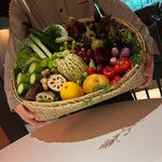 レフェルヴェソンス - 