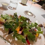 レフェルヴェソンス - 