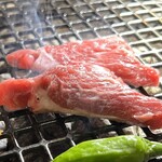 焼肉ホルモン 風土. - 