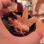 浪花ろばた 頂鯛 - 定番、車海老の頭をカリカリに～～