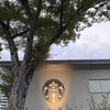スターバックスコーヒー 皇居外苑 和田倉噴水公園店
