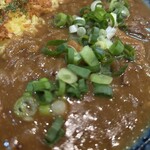 Satya - ホルモンと青ネギカレー