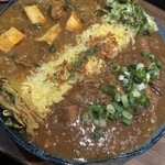 Satya - 厚揚げの中華風カレー＆ホルモンと青ネギカレーあいがけ