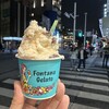 Fontana Gelato